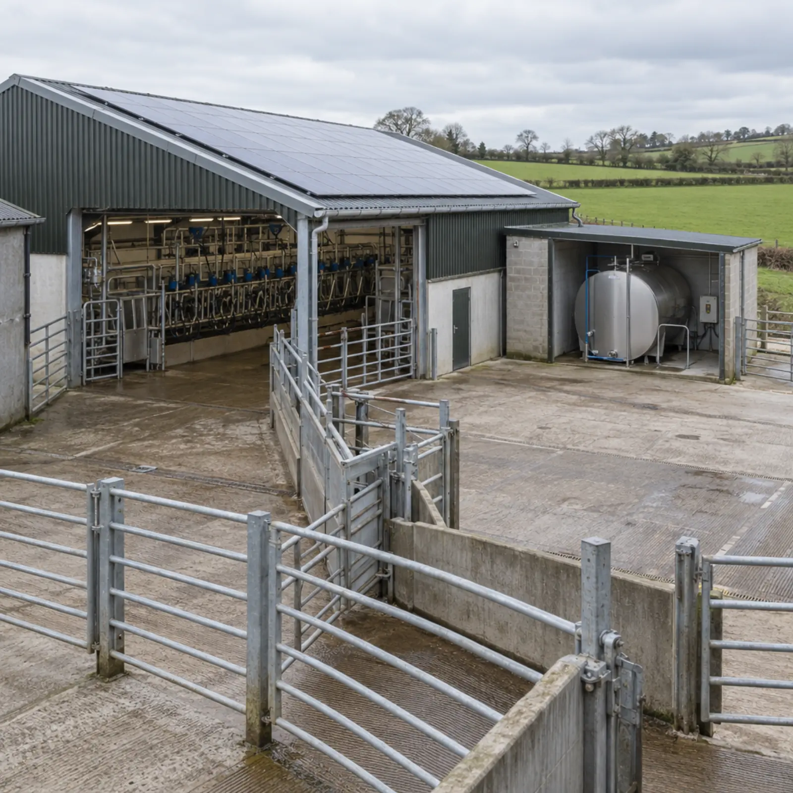 A dairy yard with milking parlour, bulk tank housing and solar panels on the roof